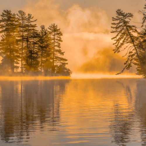 1st Merit Ont Pia OLeary Fall Mists In Algonquin Park