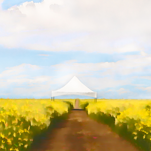 2222 PZInd2021 Cathie Aalders Taylor Tent In The Canola
