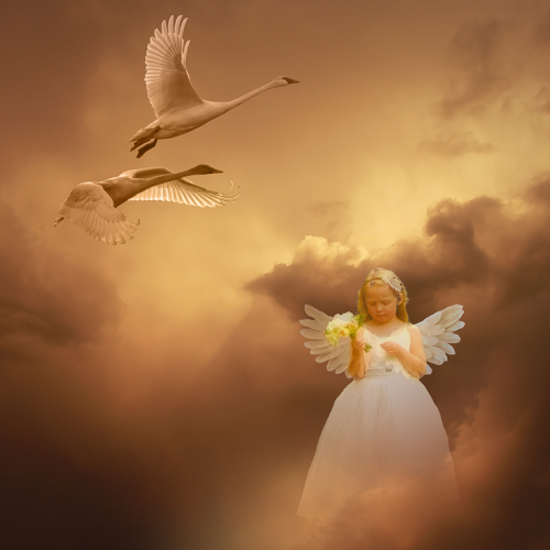 2ème Mérite Couleur Joe Pate Golden Sunset Angel And Swans