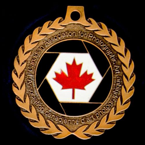 Médaille de bronze de la CAPA