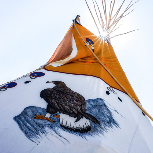Médaille d'or Colleen Edwards Sunkissed Tipi