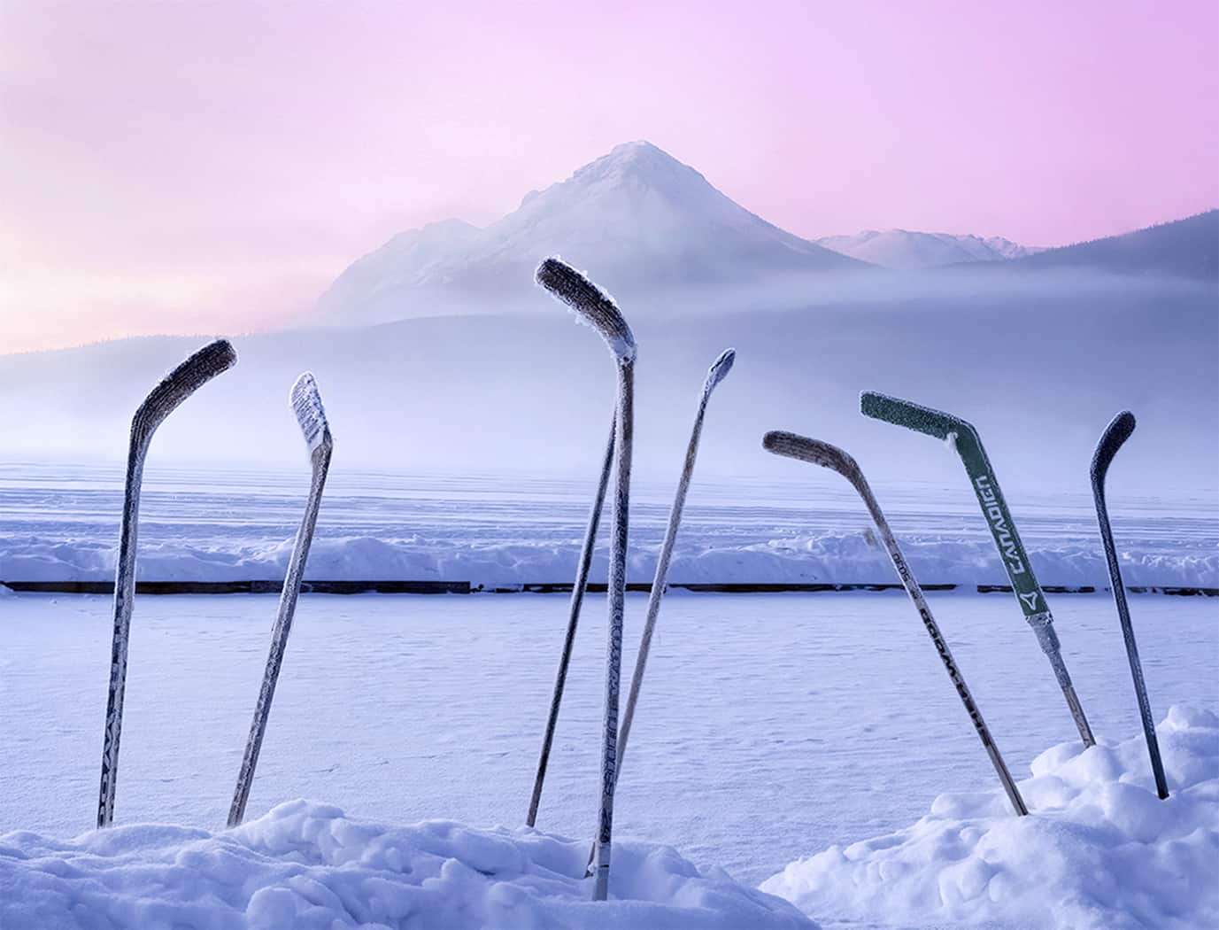 HONOUR AWARD Andrea Belcher Hockey Morning In � Canada